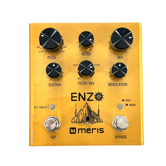 Meris Enzo Synthesizer Pedal 