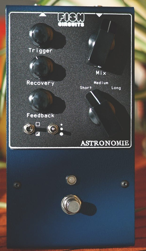 Fish Circuits Astronomie Digital Spring Reverb *Free Shipping in the USA*