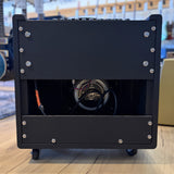 Demeter TGA2.1 T100C-112 Combo