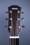 2025 Yamaha AC5R Concert Cutaway Natural