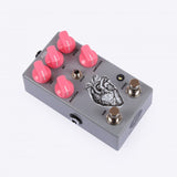 AC Noises Ama Reverb Bit crusher V.2 *Free Shipping in the USA*