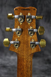 2024 Paul Reed Smith Santana Retro  10 Top