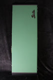 2023 American Professional II Stratocaster Mystic Surf Green