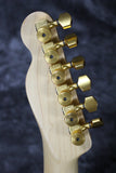 Fender Ritchie Kotzen Telecaster CIJ w/ hsc