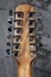 Walden Natura D552E 12-String