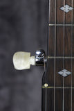 Gold Tone MC-150R Banjo