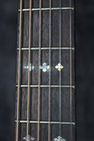 Blueridge BR-160